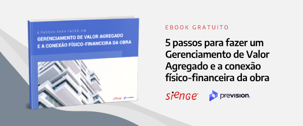 Ebook Gerenciamento de Valor Agregado e a Conexão físico-financeira da obra